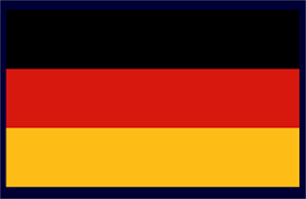 سامانه نظارت همگانی بر حسابرسان قانونی در آلمان، نشریه شماره 87