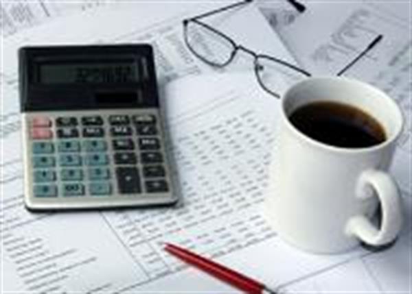 تمرکز حسابرس بر گزارشهای سالانه